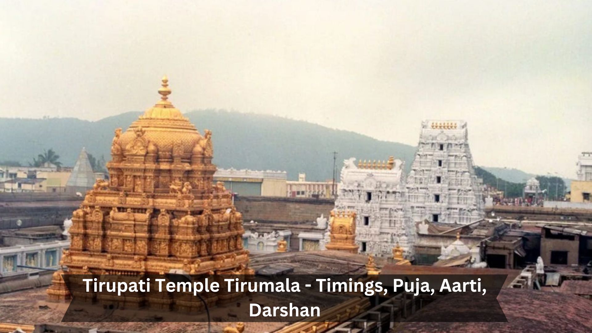 Tirupati-Temple-Tirumala-Timings-Puja-Aarti-Darshan