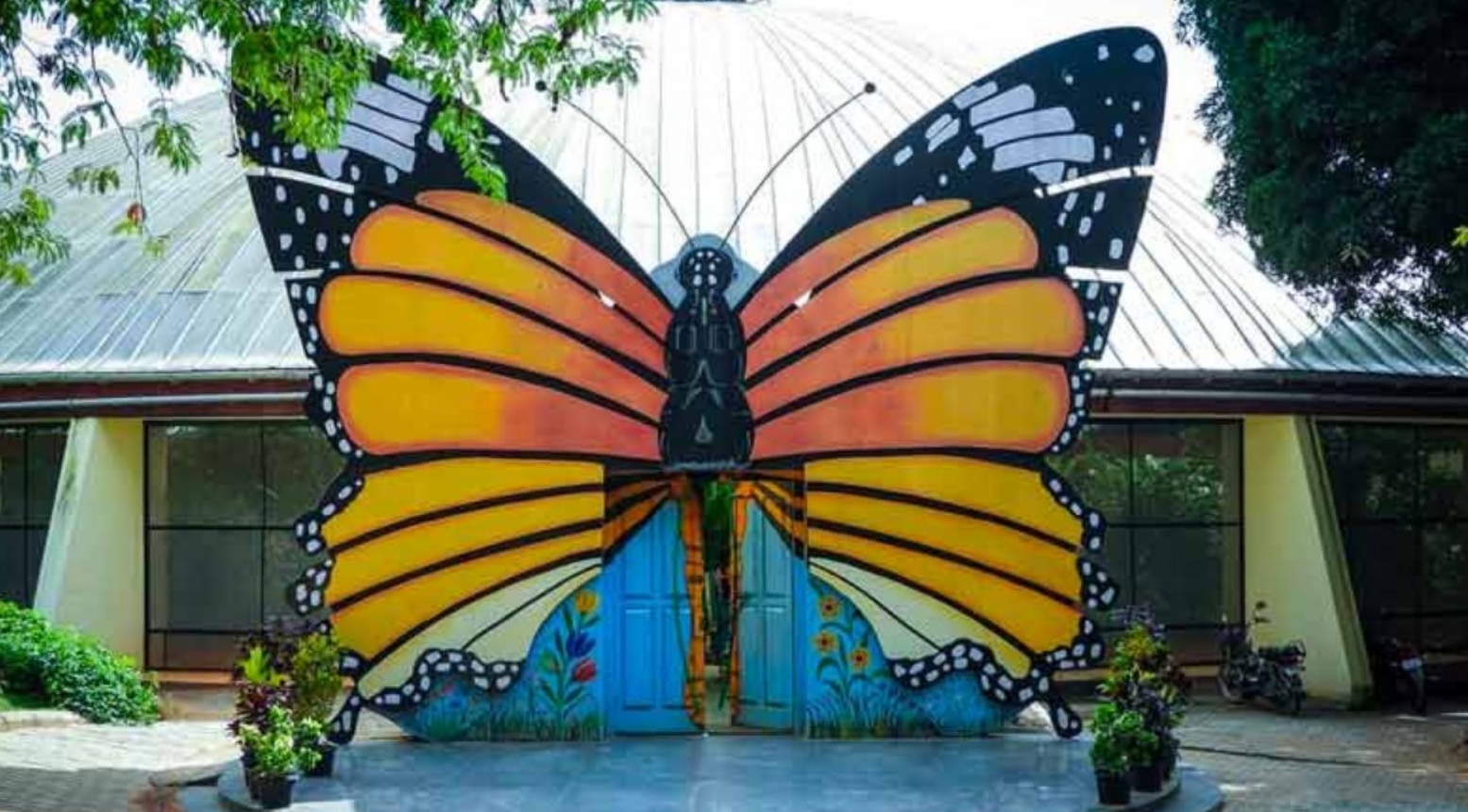 Butterfly Park Entry Fee