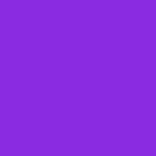 #8A2BE2 violet color