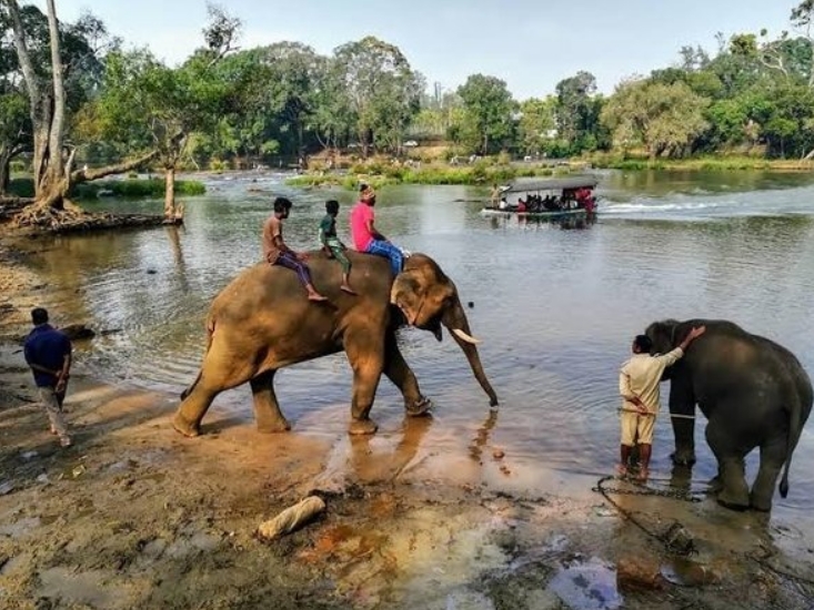 Dubare Elephant Camp