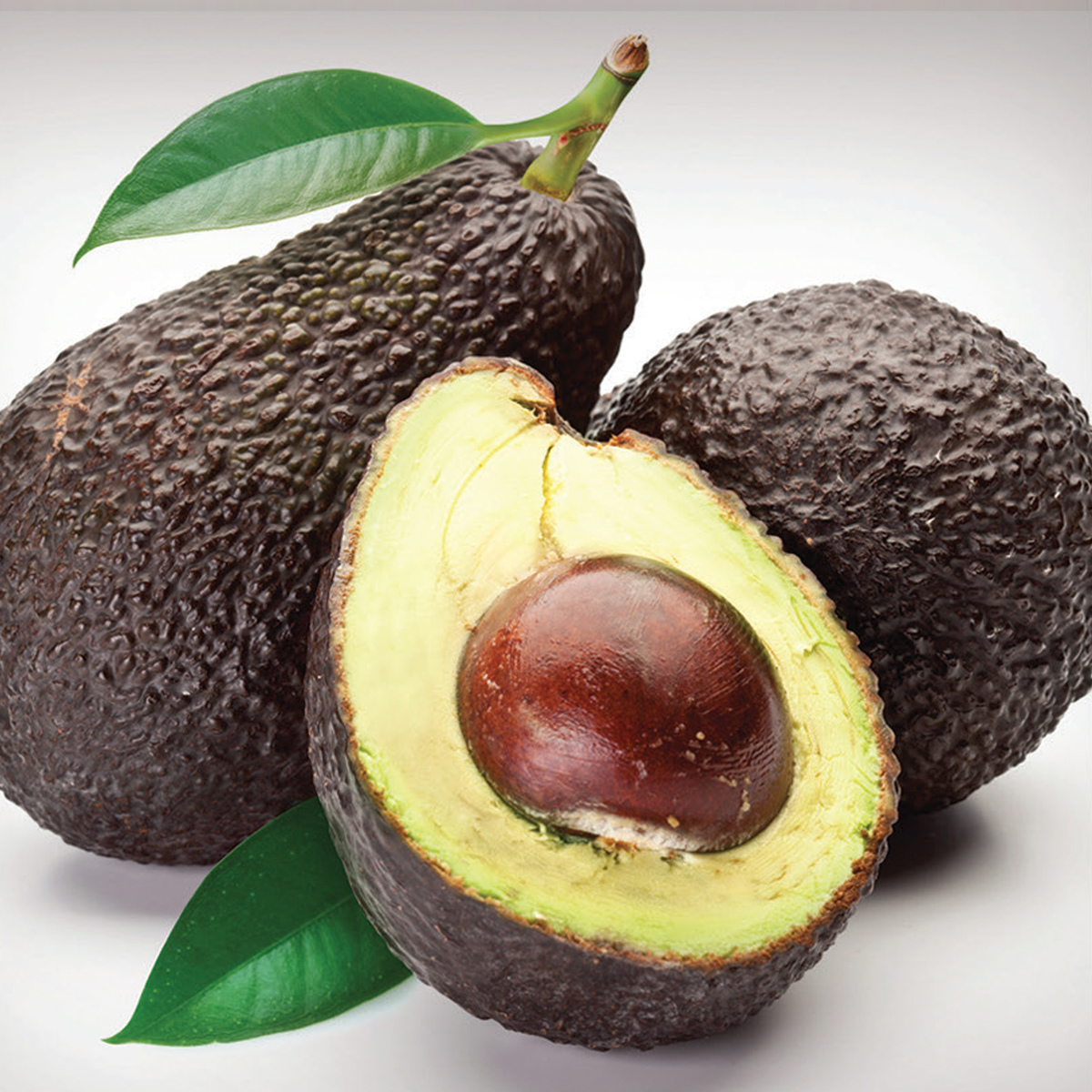 Avocado fruit image