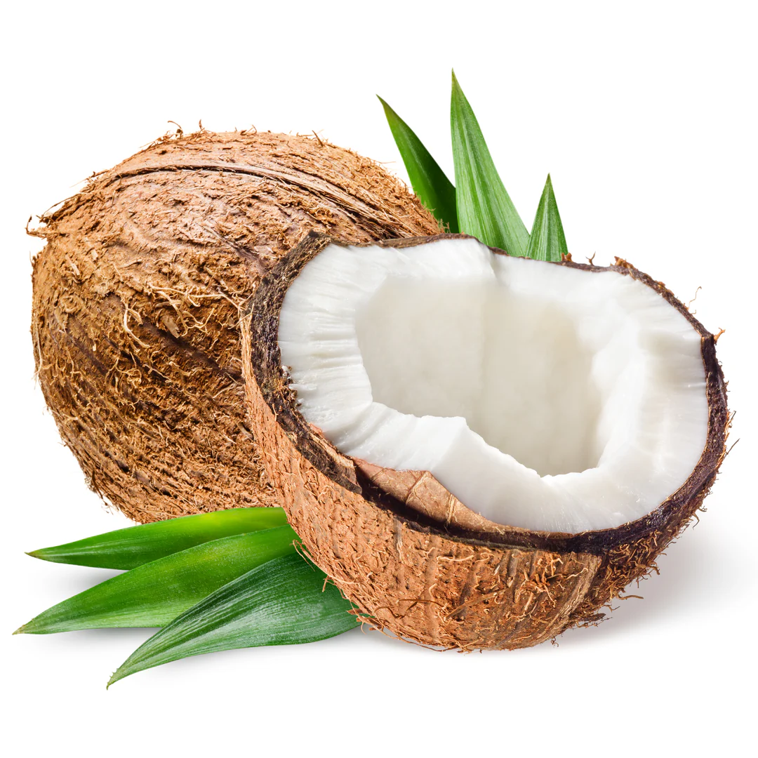 Coconut fruit image