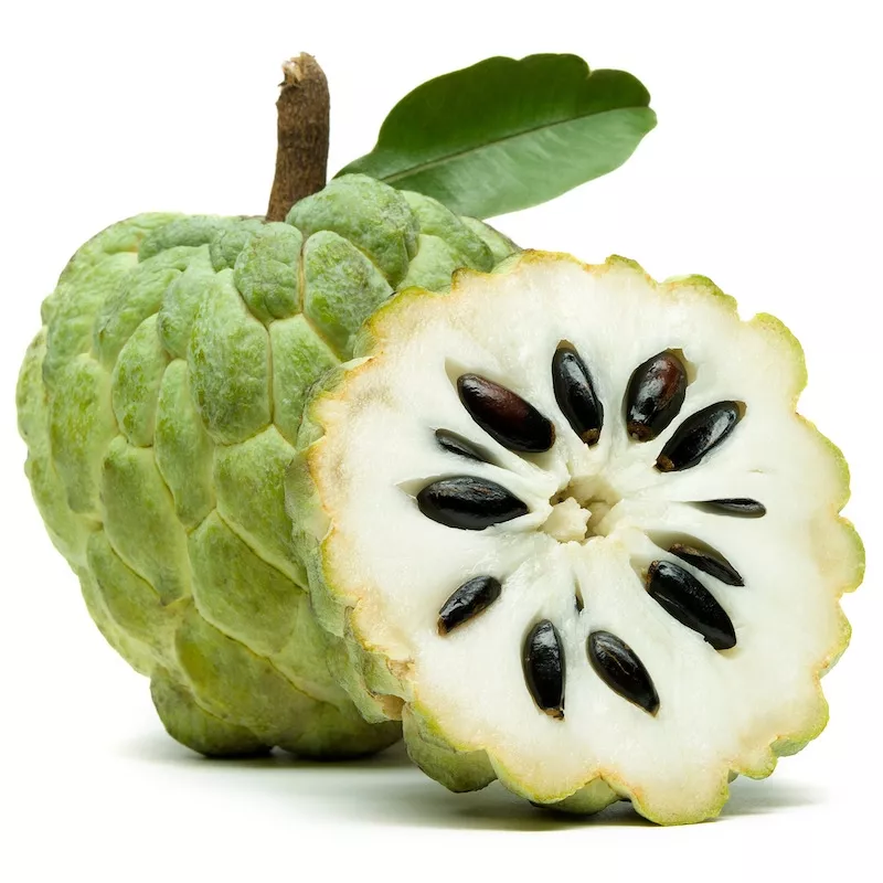 Custard Apple fruit image