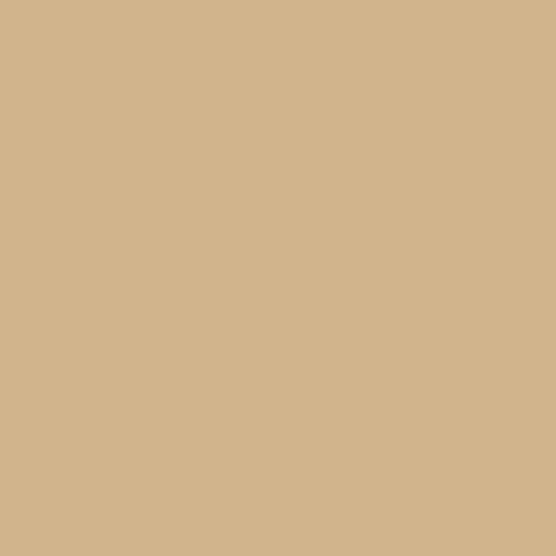 #D2B48C tan color