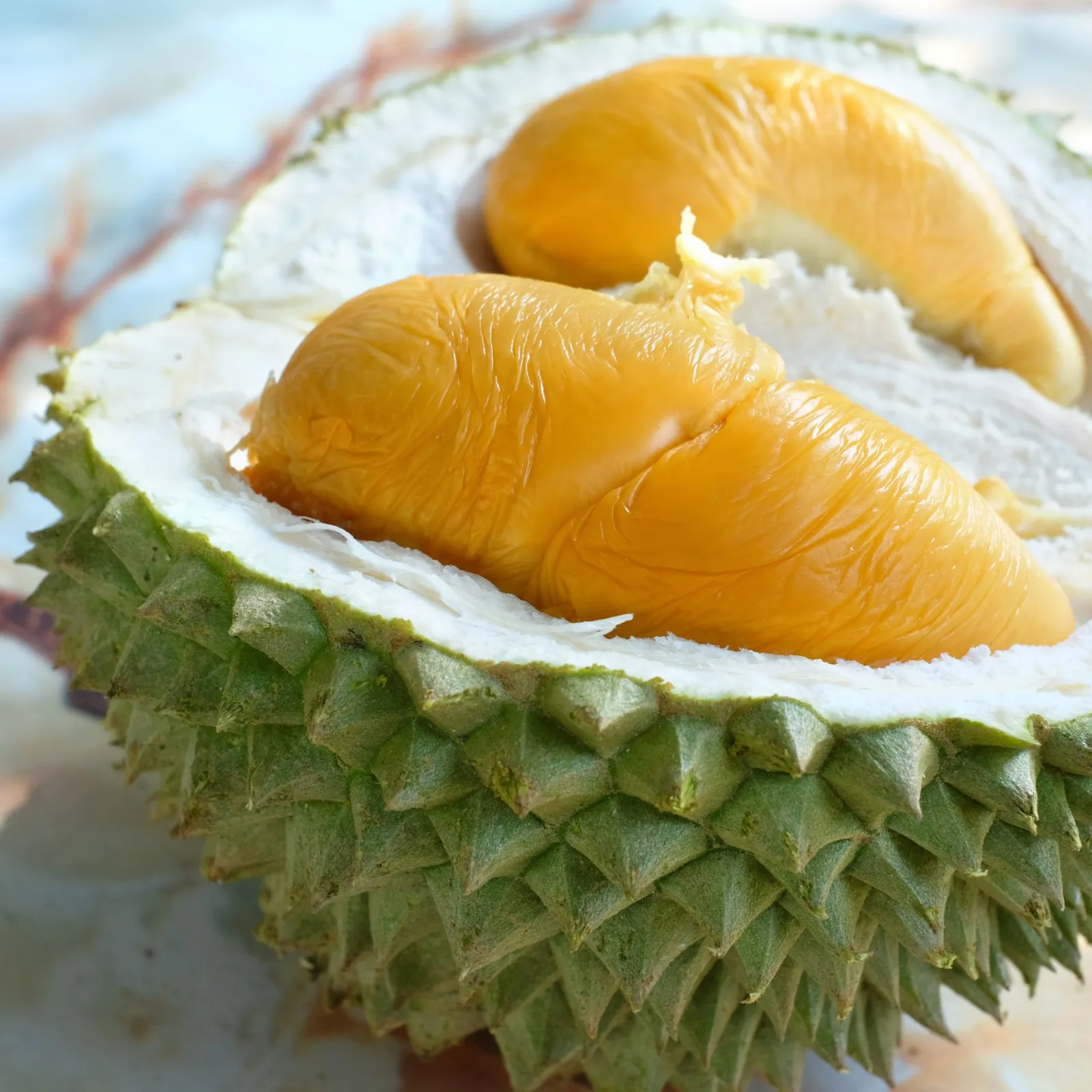 Durian fruit image