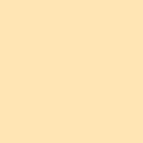 #FFE5B4 peach color