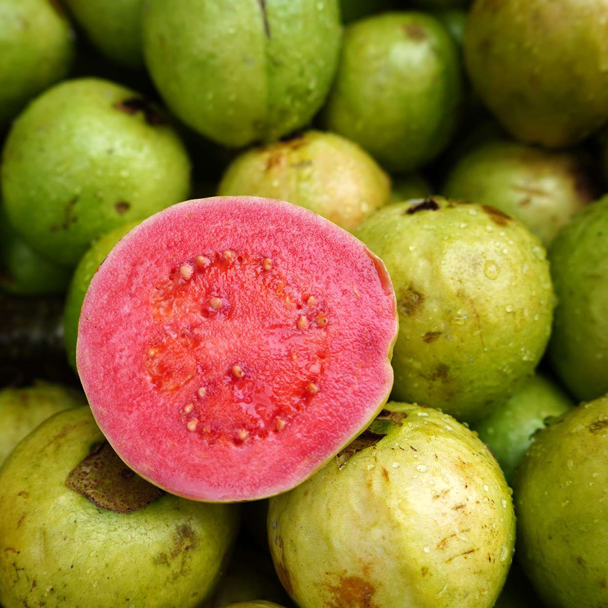 Guava fruit image