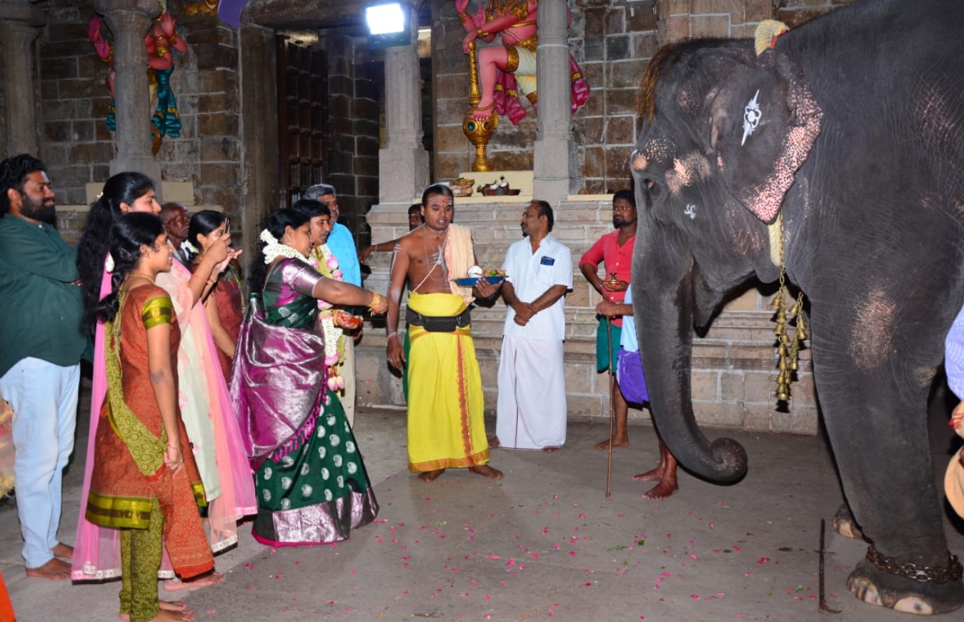 History and Pooja at Thirukadaiyur Temple