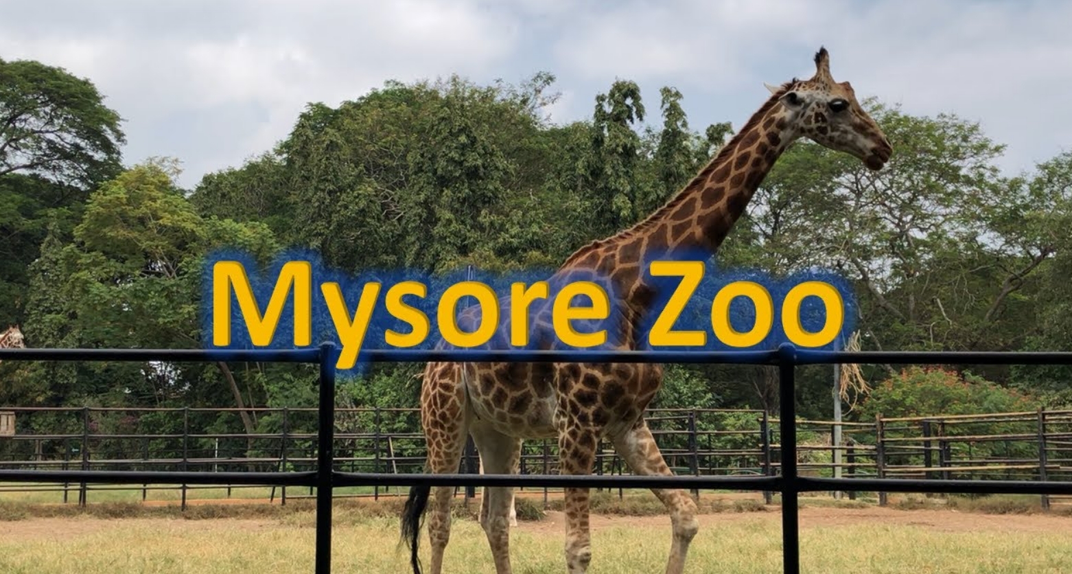 How To Reach the Mysore Zoo