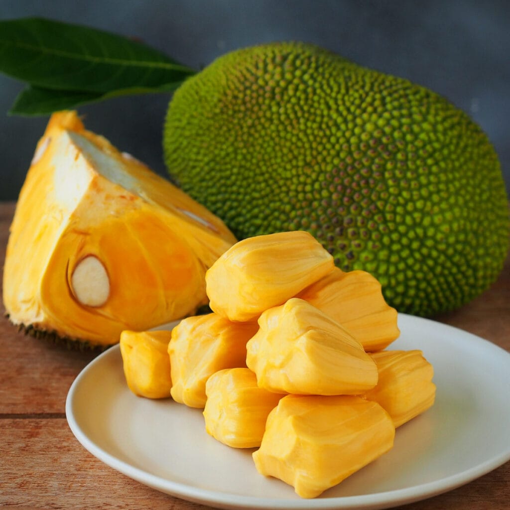 Jackfruit fruit photo