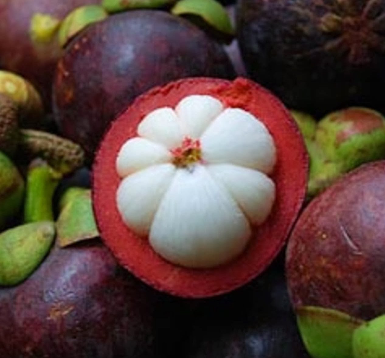 Mangosteen fruit