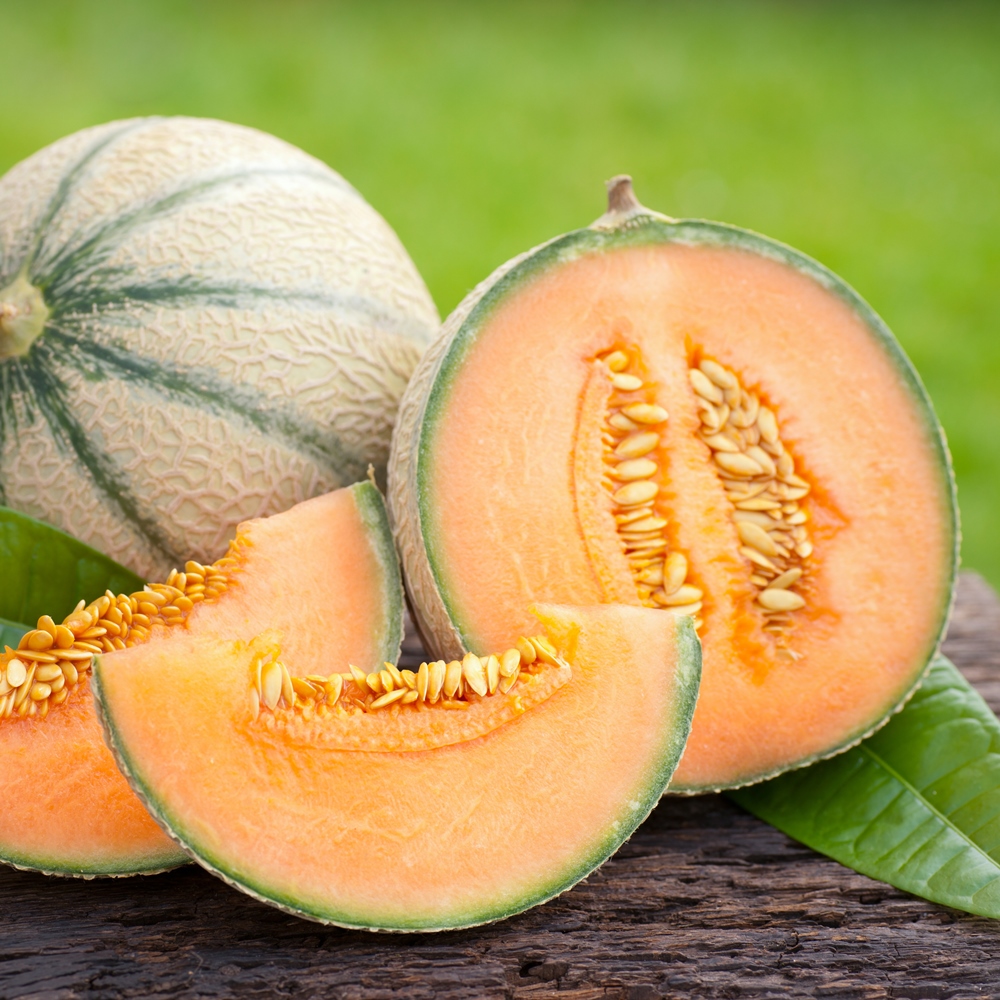 Muskmelon fruit image