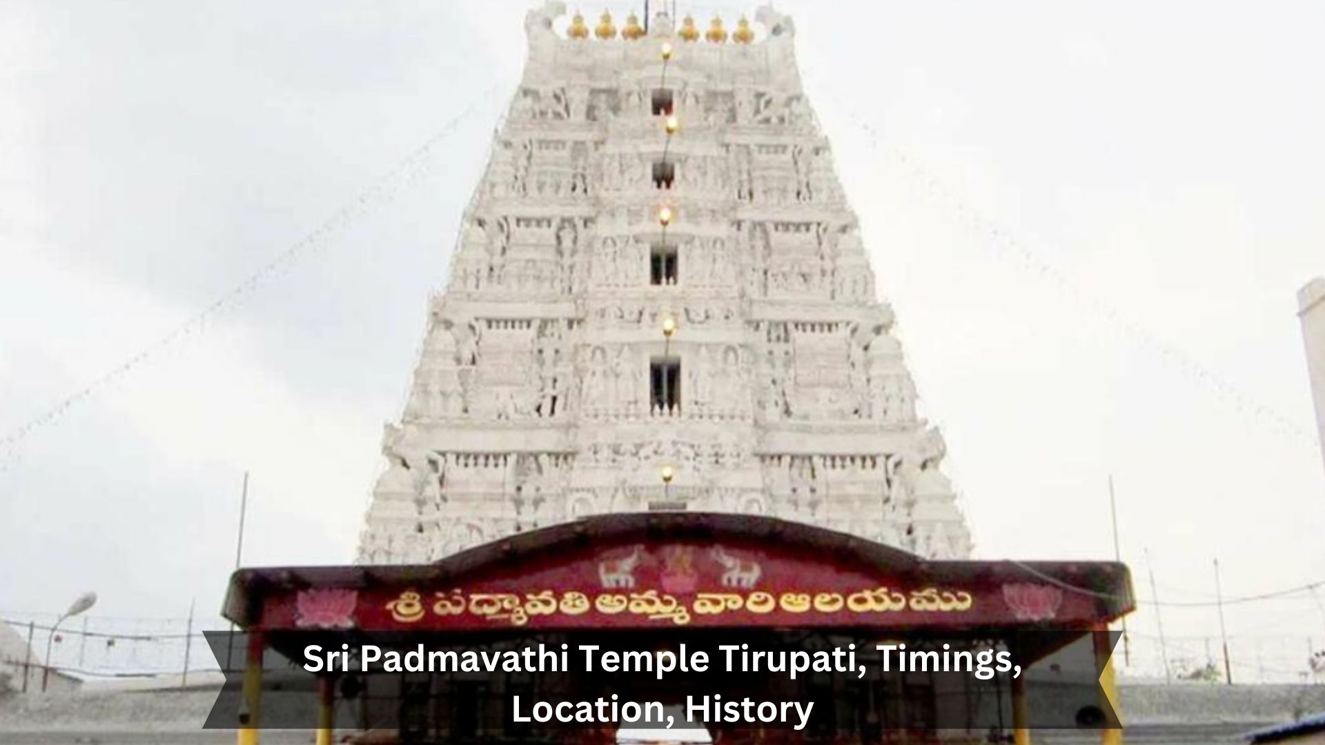 Sri-Padmavathi-Temple-Tirupati-Timings-Location-History