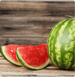 Watermelon fruit photo