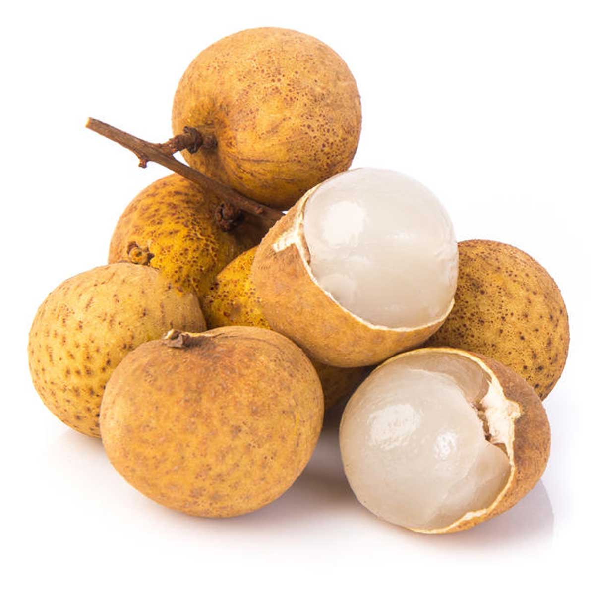  longan fruit image