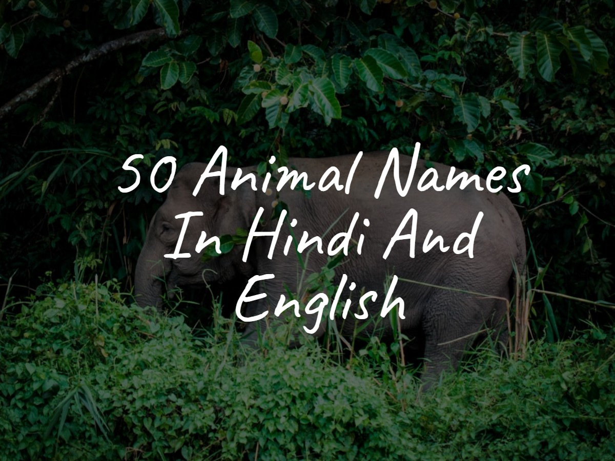 animal_names_in_hindi_english