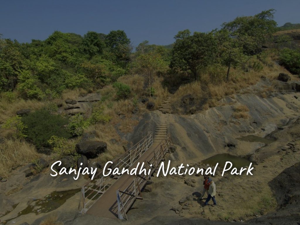 sanjay_gandhi_national_park