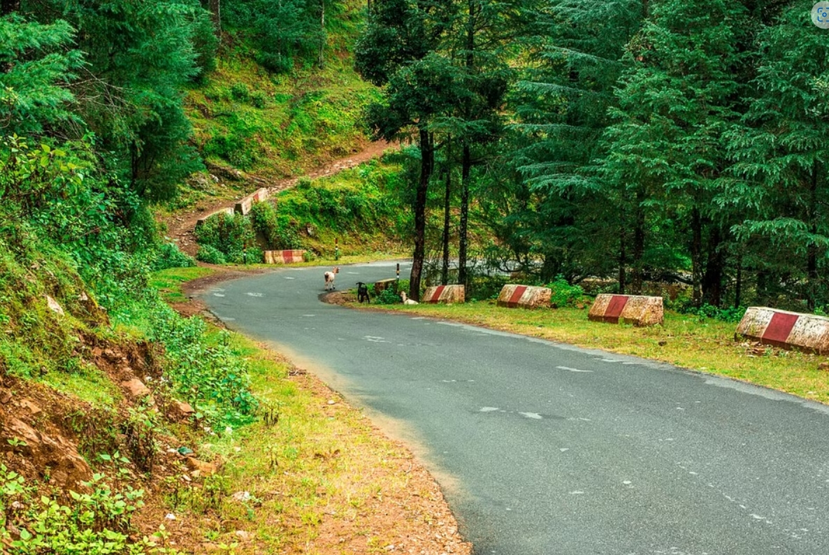 Reaching Nainital by Road