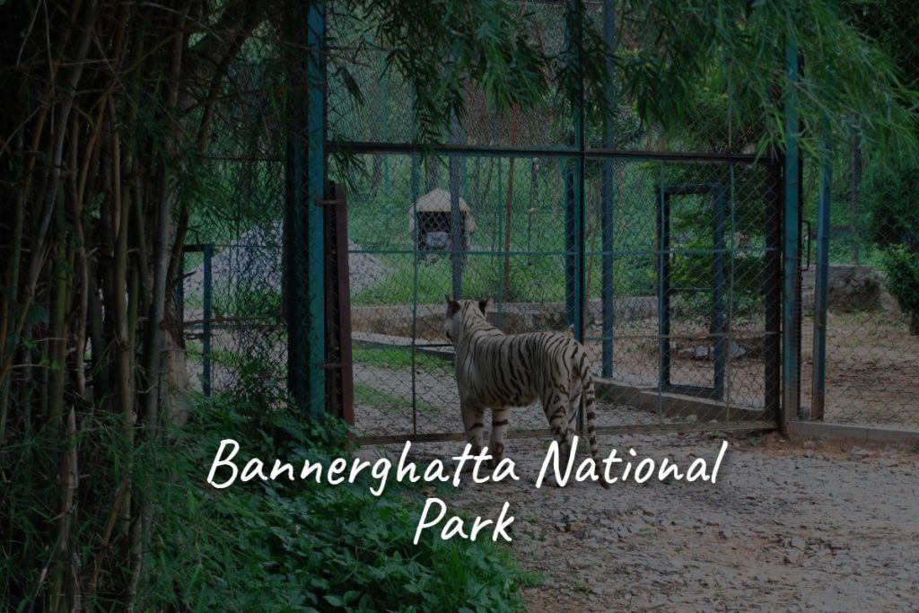 bannerghatta_national_park