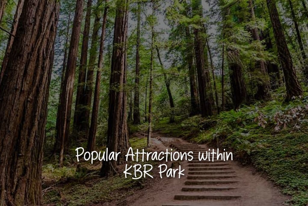 popular_attractions_within_kbr_park