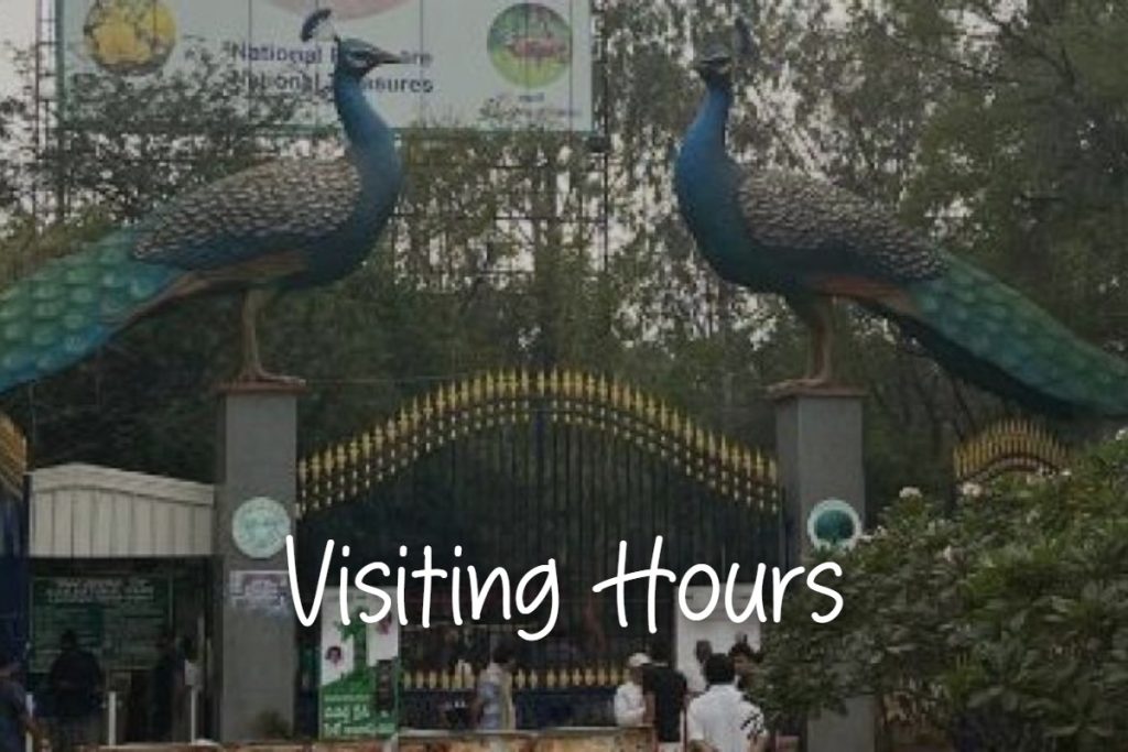 visiting_hours