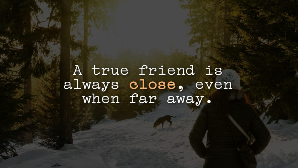 Special Friend Deep Long Distance Friendship Quotes